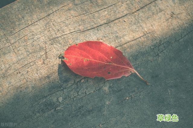 只是一些描写孤独的句子喜欢的可以评论转发加关注? 孤单怎么形容