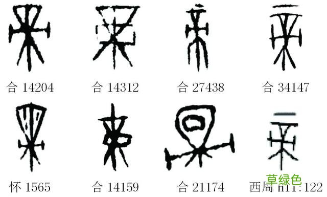 甲骨文识字｜帝、尧 尧字是属什么