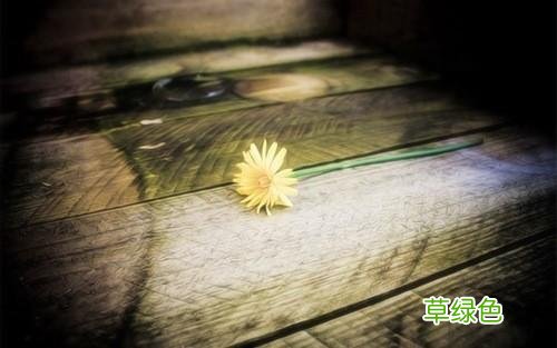 好听的星空名字？ 带星起名字