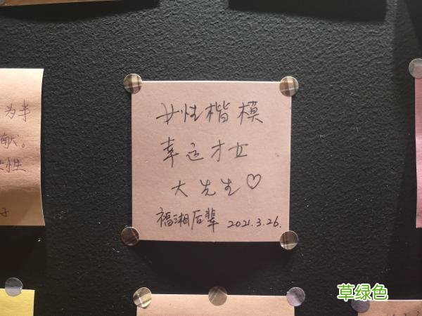 这么多人前来，只为她！“见大师”的时间又多了一点 徐艺菲名字