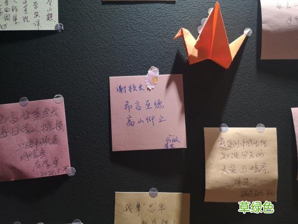 这么多人前来，只为她！“见大师”的时间又多了一点 徐艺菲名字