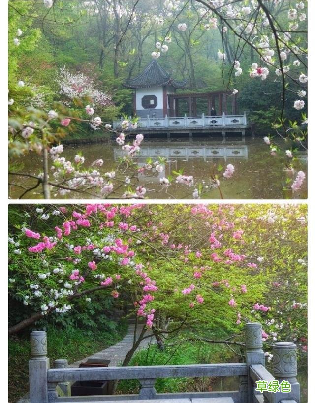 苏东坡为何会如此喜爱这首词,甚至差点侵权? 志和名字