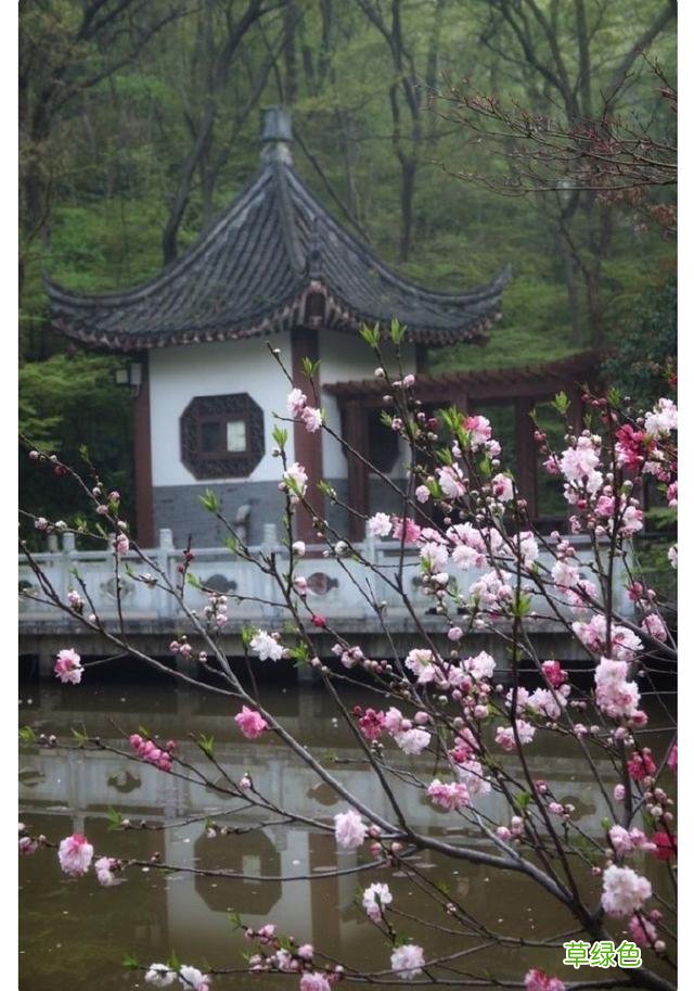 苏东坡为何会如此喜爱这首词,甚至差点侵权? 志和名字