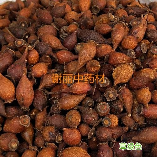 干金樱子泡酒最佳比例 金樱子泡酒比例是多少