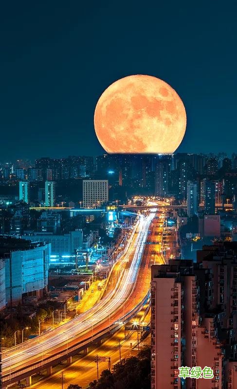 送你圆圆圆圆圆圆圆 少翊名字