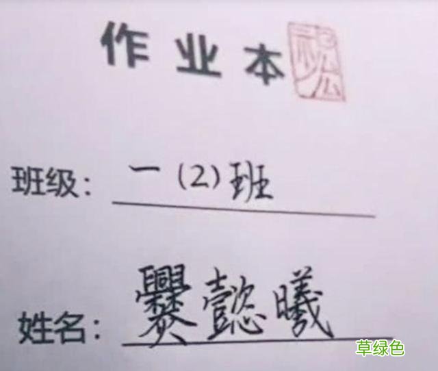 小学生“极简风”姓名走红，连姓带名共2笔，老师：念不出来 带乙男名字