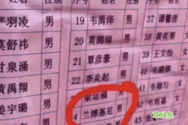 小学生“极简风”姓名走红，连姓带名共2笔，老师：念不出来 带乙男名字