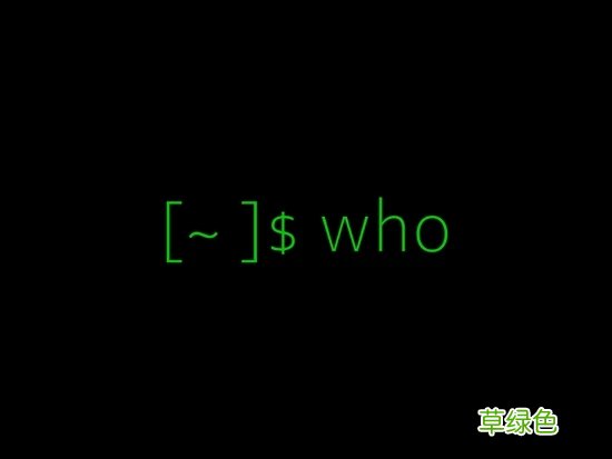 Linux中的who命令实例介绍