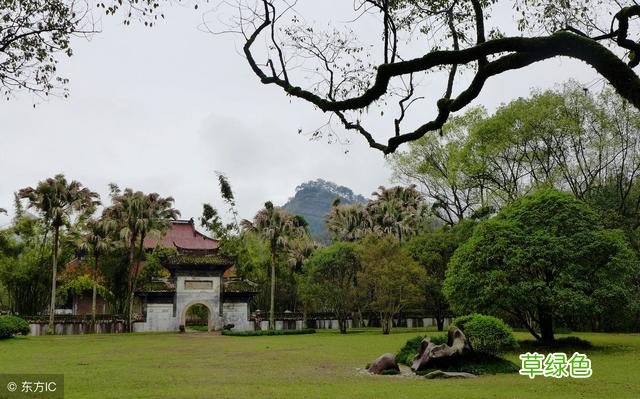 四川省部分地区张氏字辈一览表张氏家人赶紧来看看吧 1 张字有什么名