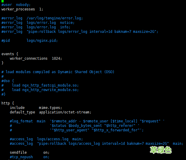 借用nginx.vim工具进行语法高亮和格式化配置nginx.conf文件