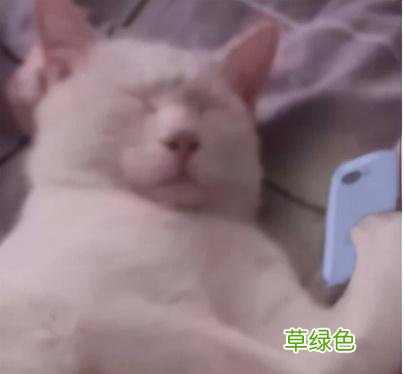 给娃取英文名字还在用Mary,Jack,Bob吗？这份避雷指南请收下 怎么写英语名字