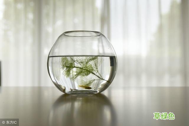 这八种摆放在家的风水物件，必须知道禁忌，否则功效全无！ 怎么化解邪灵