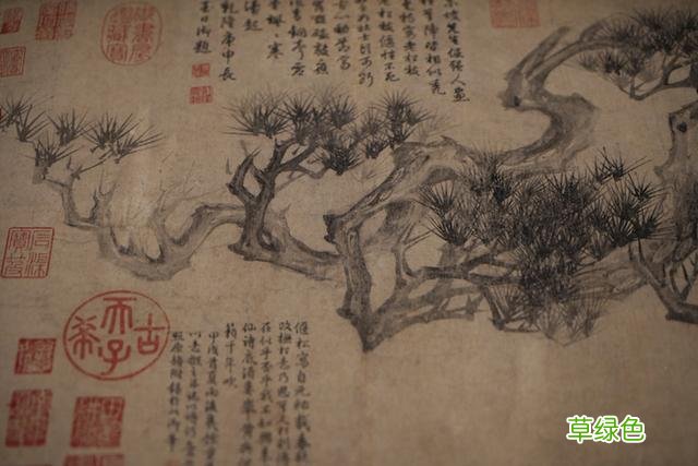 从苏轼款《偃松图》看起：在清华寻找山水野趣 张什么妙好听