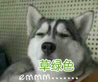 浅谈周易预测术：生辰八字 怎么样八字算命