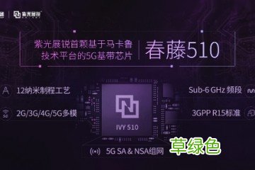 深度解析紫光展锐