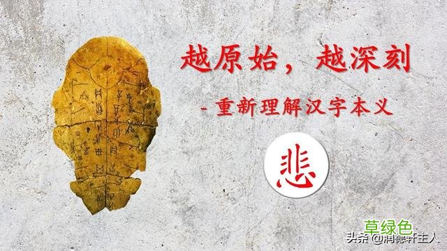 越原始，越深刻 – 重新理解汉字本义 │“悲”天悯人 悲是什么字
