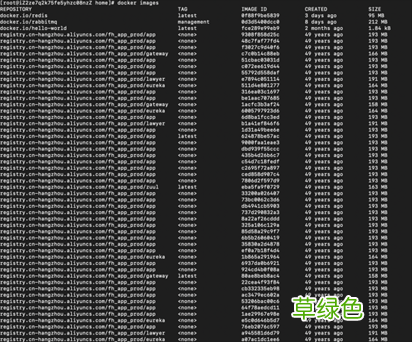 详细记一次Docker部署服务的爬坑历程