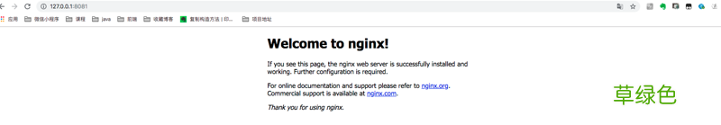nginx 与后台端口冲突的解决