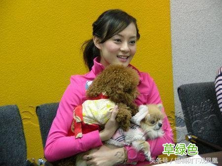 狗年话题：戌年生人到底应该说是“属犬”，还是“属狗”？ 戌狗怎么读