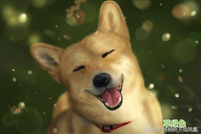 狗年话题：戌年生人到底应该说是“属犬”，还是“属狗”？ 戌狗怎么读