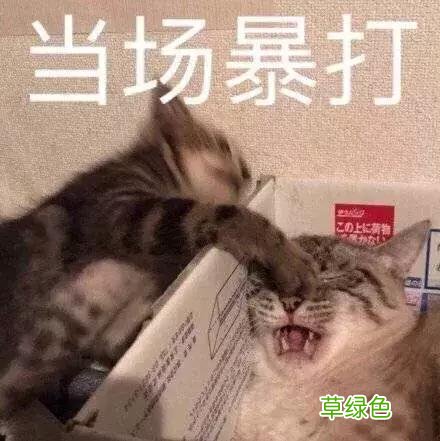 读懂身体语言第一期——手势 手心指什么