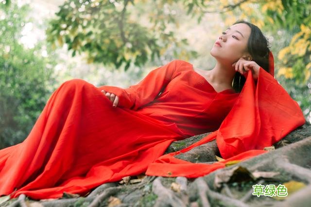 小说：测试石上，九品天赋可逆天，结果小伙一碰就爆炸，众人懵了 慕容天名字