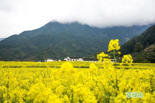清明将至，何时扫墓祭祖为好？2022年为何有农历三月不能烧纸一说 戊五行属什么