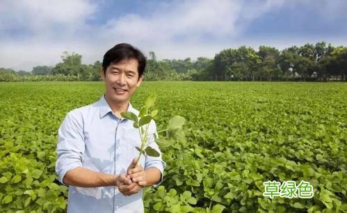 农村俗语老话“娶妻看手掌，嫁夫看肩膀”啥意思？有道理吗？ 手掌怎么看
