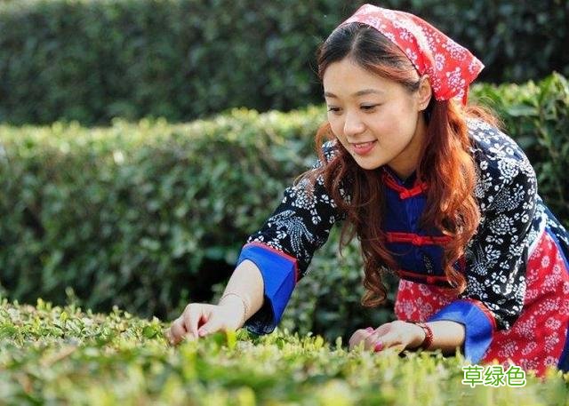 农村俗语老话“娶妻看手掌，嫁夫看肩膀”啥意思？有道理吗？ 手掌怎么看