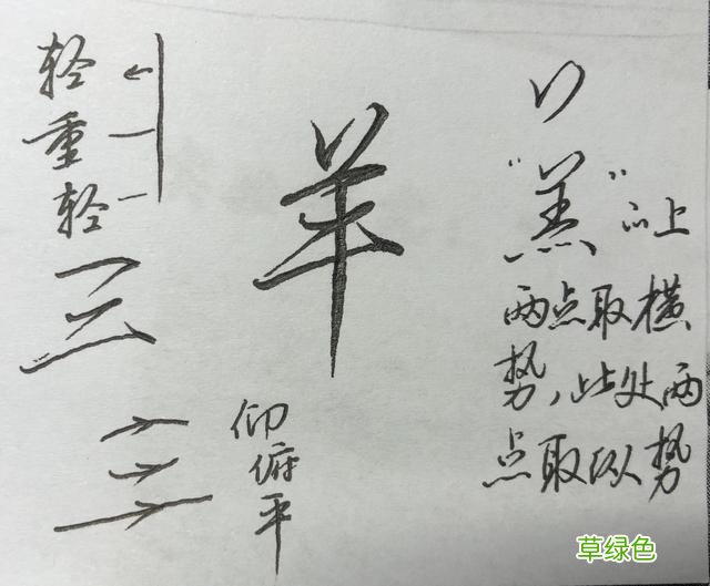 硬笔行书常用字，举一反三：墨、丝、诗、染、羊、悲 承怎么写笔顺