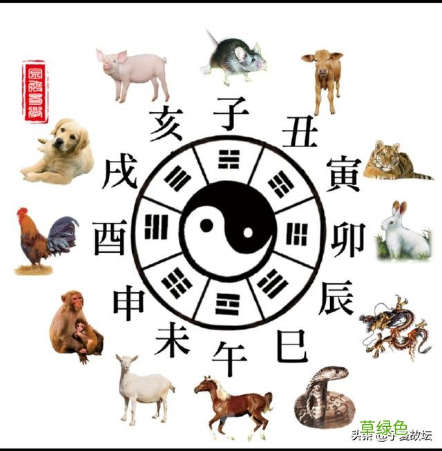 属相什么时间交替?是春节还是立春? 日怎么算生肖