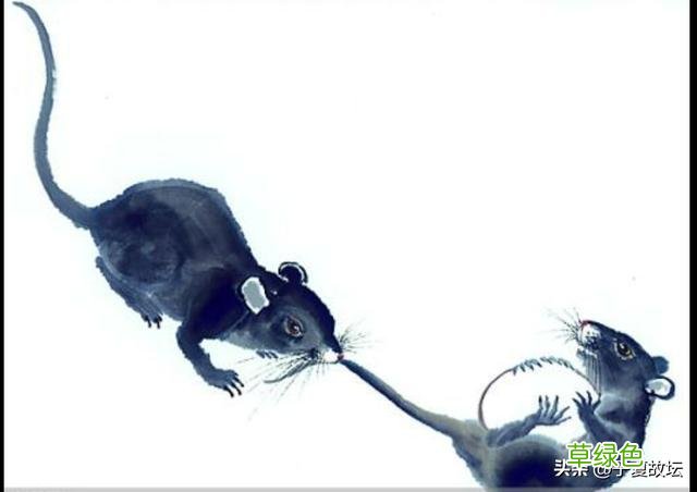 属相什么时间交替?是春节还是立春? 日怎么算生肖