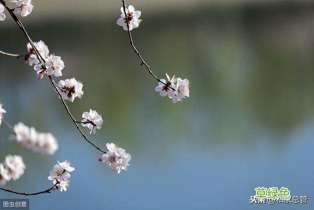 人生一共四道题：学业、事业、婚姻、家庭，平均分高才能及格 怎么算学业