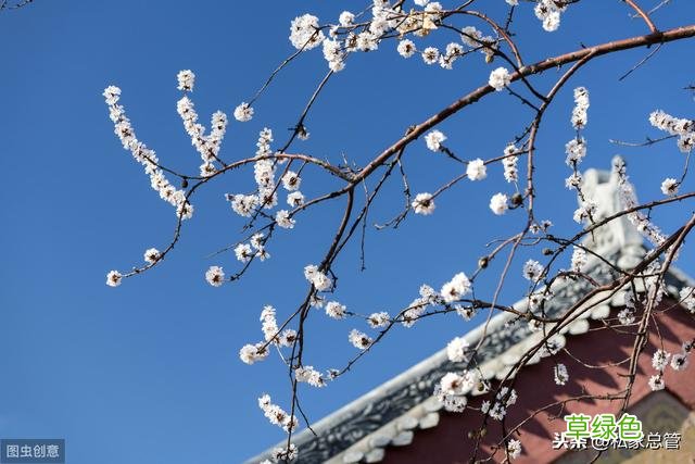 人生一共四道题：学业、事业、婚姻、家庭，平均分高才能及格 怎么算学业