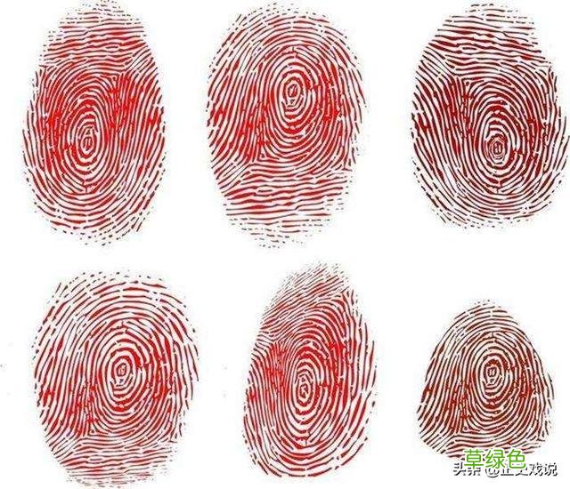 一斗穷二斗富三斗四斗卖豆腐，原来古人早有指纹鉴定了，智慧无穷 斗怎么看纹路