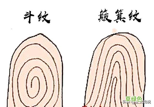 一斗穷二斗富三斗四斗卖豆腐，原来古人早有指纹鉴定了，智慧无穷 斗怎么看纹路