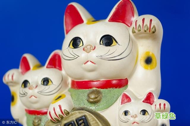 猫为什么能招财？背后竟然是一个流传千年的邪术 招财有什么用