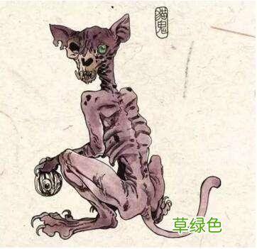 猫为什么能招财？背后竟然是一个流传千年的邪术 招财有什么用