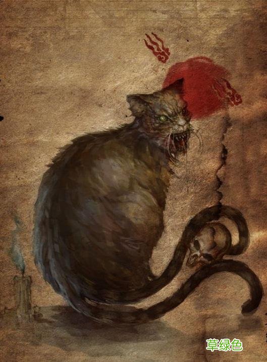 猫为什么能招财？背后竟然是一个流传千年的邪术 招财有什么用