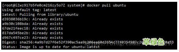 Linux系统安装docker并用ssh登录docker容器的操作方法