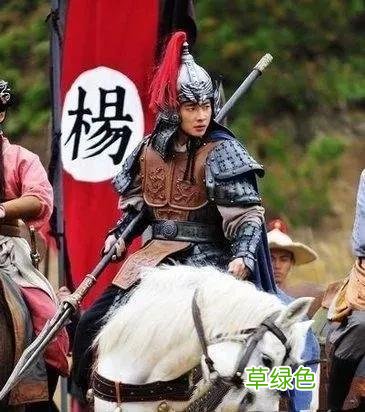北宋“呼、杨、高、郑”四大家族，正史记载中真实的名将知多少 杨字怎么解释