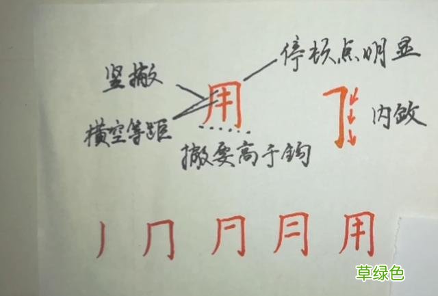 练练这些使用频率高的字，怎么写楷书“个、用、工、时、要、动” 极的笔顺怎么写