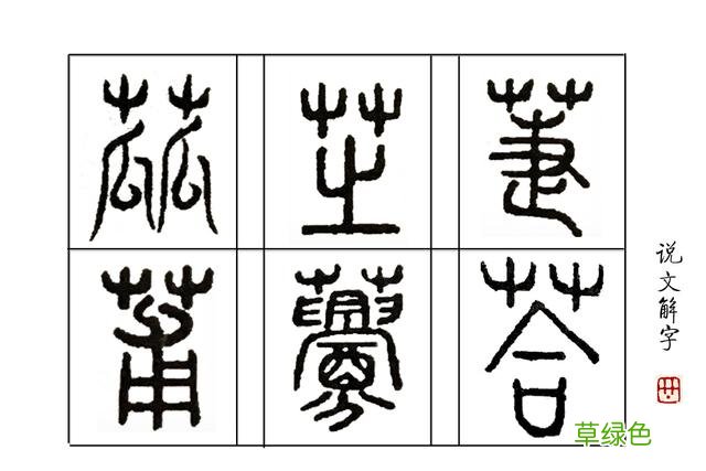 《说文解字》第38课：树上结的果实叫“果”，藤上结的叫什么呢？ 果展笔顺怎么写