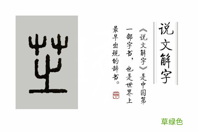 《说文解字》第38课：树上结的果实叫“果”，藤上结的叫什么呢？ 果展笔顺怎么写