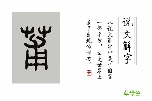 《说文解字》第38课：树上结的果实叫“果”，藤上结的叫什么呢？ 果展笔顺怎么写