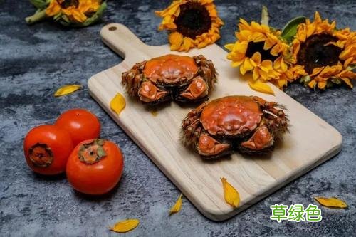 海螃蟹不能和什么一起吃 螃蟹不能和什么一起吃大全