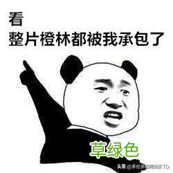 逛超市别瞎选了！收好这份最受欢迎橙汁厂牌清单，轻松避坑 果汁吧名字