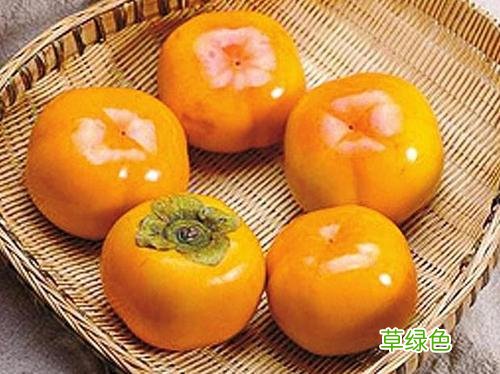 干柿饼不能和什么一起吃 柿饼子和什么不能一起吃