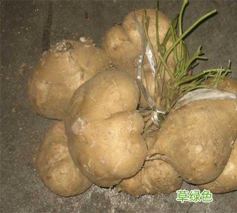 红薯可以和什么一起吃 红薯不能和什么一起同吃
