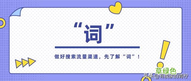 想要做好搜索流量渠道，先了解“词” 棉是什么属性